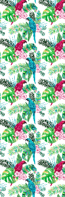 Store intérieur Perroquets