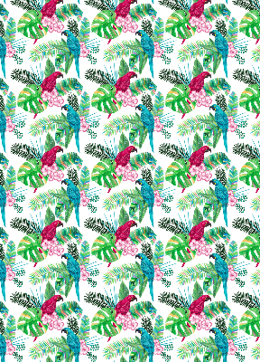 Store intérieur Perroquets