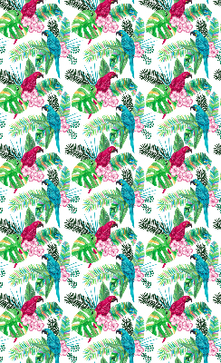 Store intérieur Perroquets