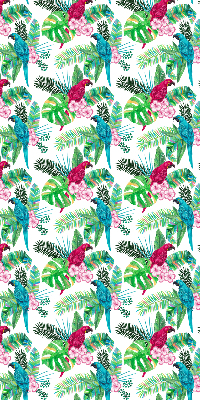 Store intérieur Perroquets