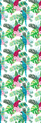 Store intérieur Perroquets