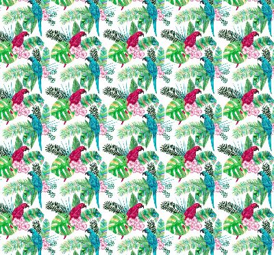 Store intérieur Perroquets