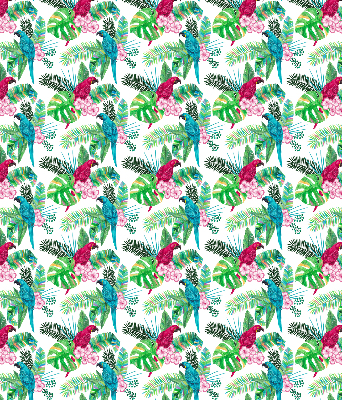 Store intérieur Perroquets