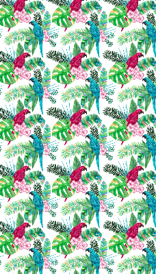 Store intérieur Perroquets