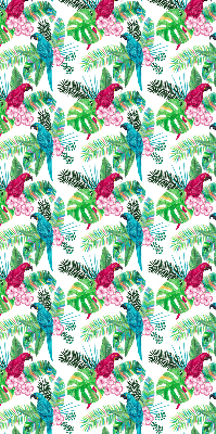 Store intérieur Perroquets