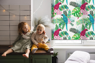 Store intérieur Perroquets