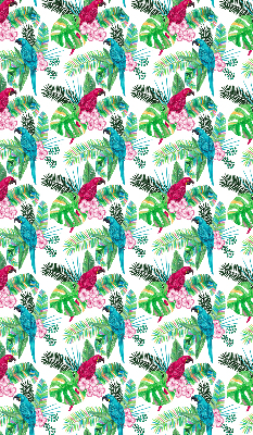 Store intérieur Perroquets