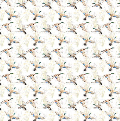 Store enrouleur Canards volants