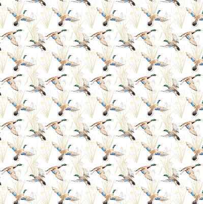 Store enrouleur Canards volants