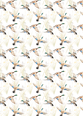 Store enrouleur Canards volants