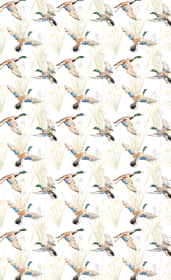 Store enrouleur Canards volants