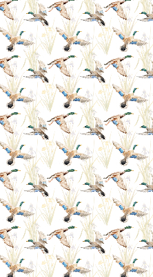 Store enrouleur Canards volants