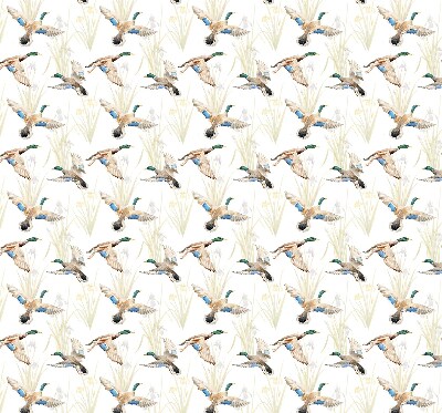 Store enrouleur Canards volants