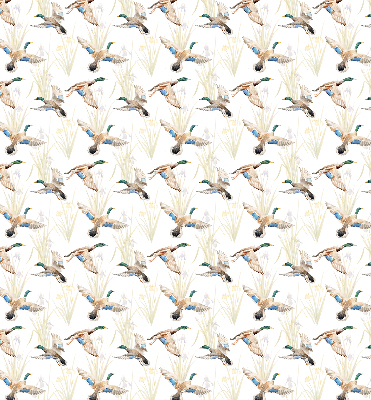 Store enrouleur Canards volants