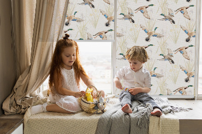 Store enrouleur Canards volants