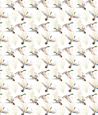 Store enrouleur Canards volants