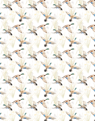 Store enrouleur Canards volants