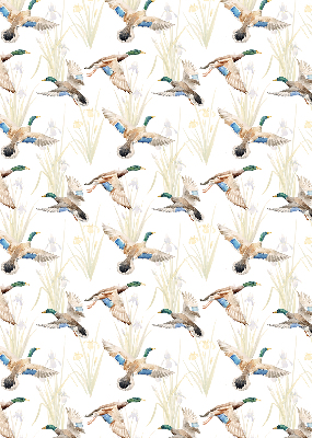 Store enrouleur Canards volants