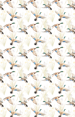 Store enrouleur Canards volants