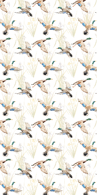 Store enrouleur Canards volants