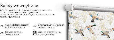 Store enrouleur Canards volants