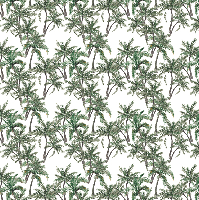 Store intérieur Palmiers