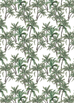 Store intérieur Palmiers