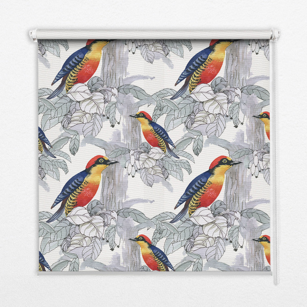 Store intérieur Oiseau coloré