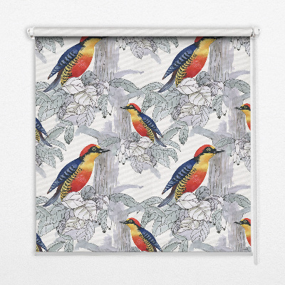 Store intérieur Oiseau coloré