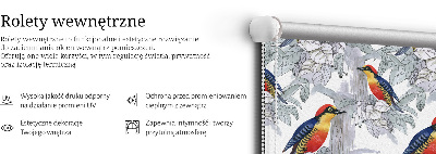 Store intérieur Oiseau coloré