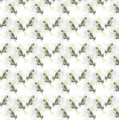 Store enrouleur Perroquets sur une branche