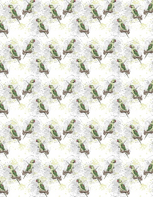 Store enrouleur Perroquets sur une branche