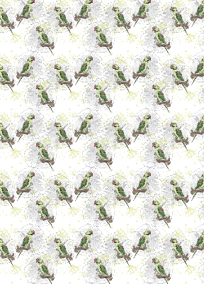 Store enrouleur Perroquets sur une branche