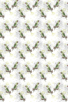 Store enrouleur Perroquets sur une branche