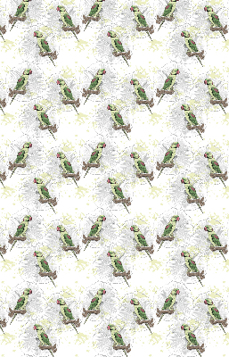 Store enrouleur Perroquets sur une branche