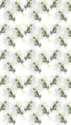 Store enrouleur Perroquets sur une branche