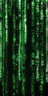 Store enrouleur Chiffres verts