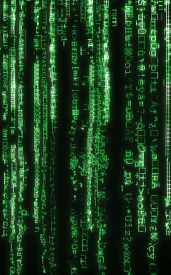 Store enrouleur Chiffres verts