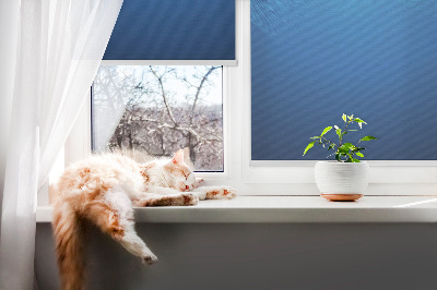 Store enrouleur Animation bleue