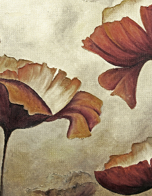 Store intérieur Fleurs