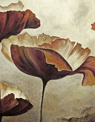 Store intérieur Fleurs