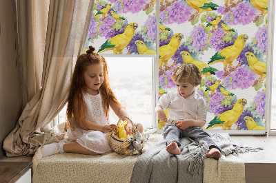 Store intérieur Perroquets jaunes