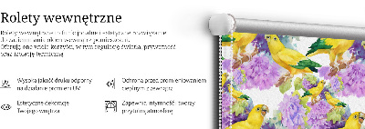 Store intérieur Perroquets jaunes