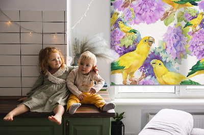 Store intérieur Perroquets jaunes