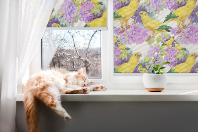 Store intérieur Perroquets jaunes