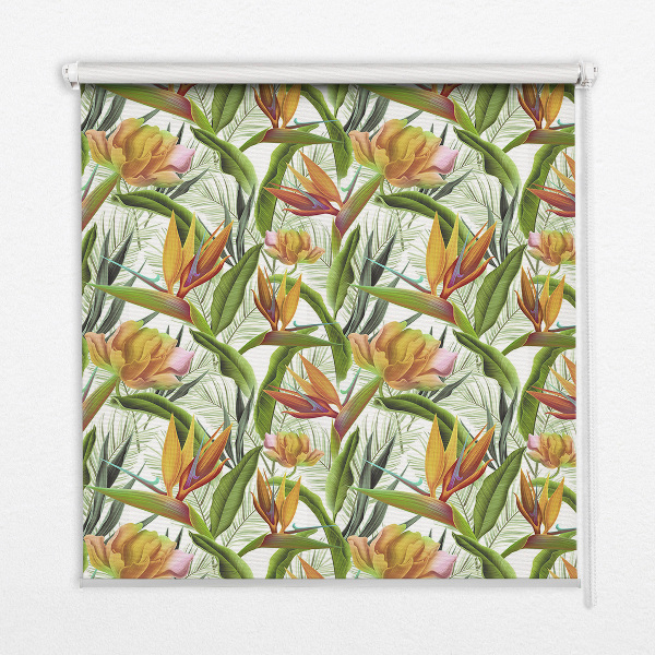 Store intérieur Plantes exotiques