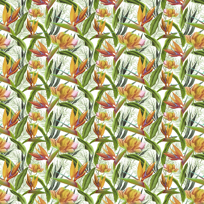 Store intérieur Plantes exotiques