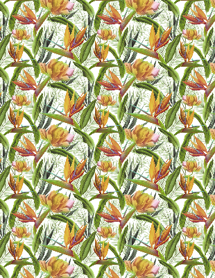 Store intérieur Plantes exotiques