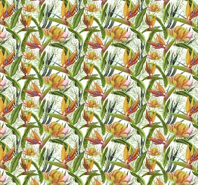 Store intérieur Plantes exotiques