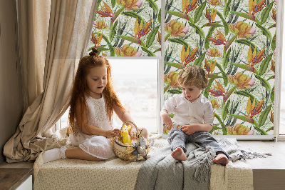 Store intérieur Plantes exotiques